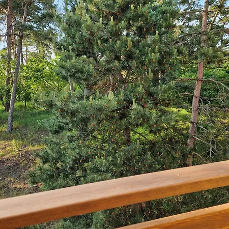Holiapart Stenga - Przy Lesie, Taras, Plac Zabaw, Grill Apartment