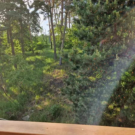 Apartment Holiapart Stenga - Przy Lesie, Taras, Plac Zabaw, Grill *